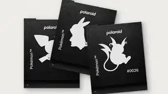 Polaroid Pokemon Comms 1x1 Darkslides Pikachu B0d862