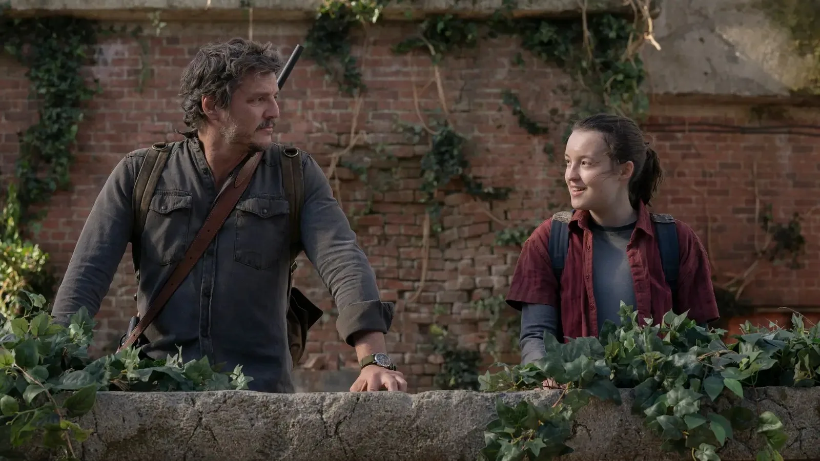 The Last of Us Will Continue After the HBO Show’s Third Season