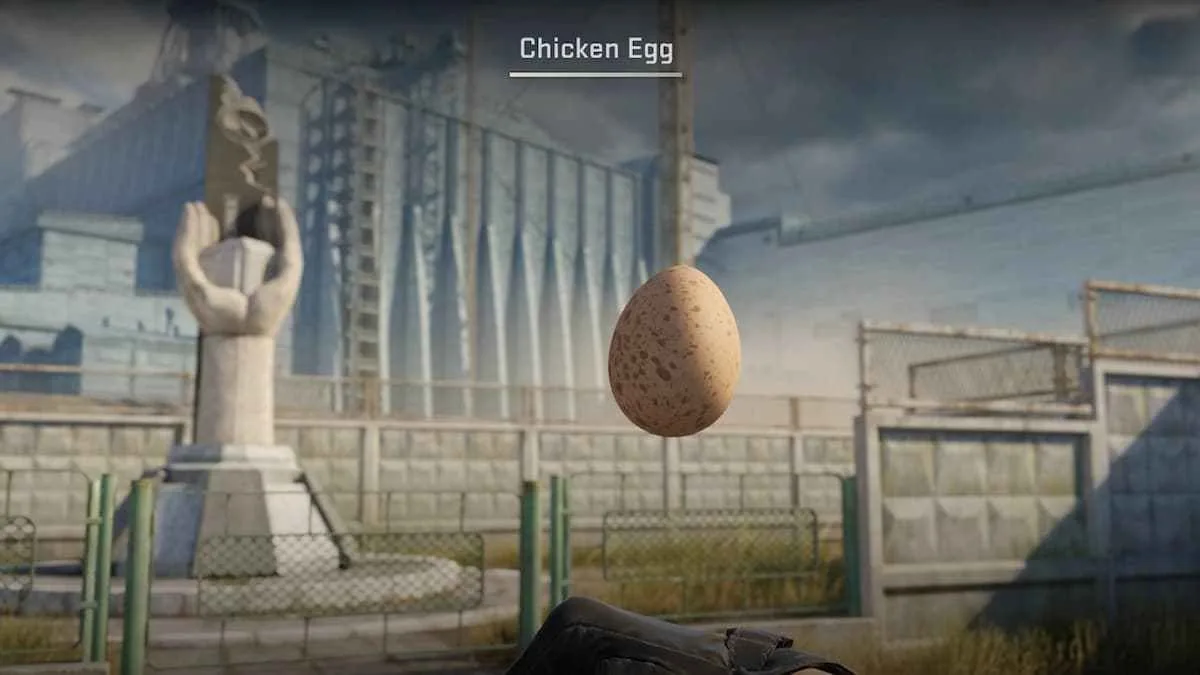 A Chicken egg in CS2