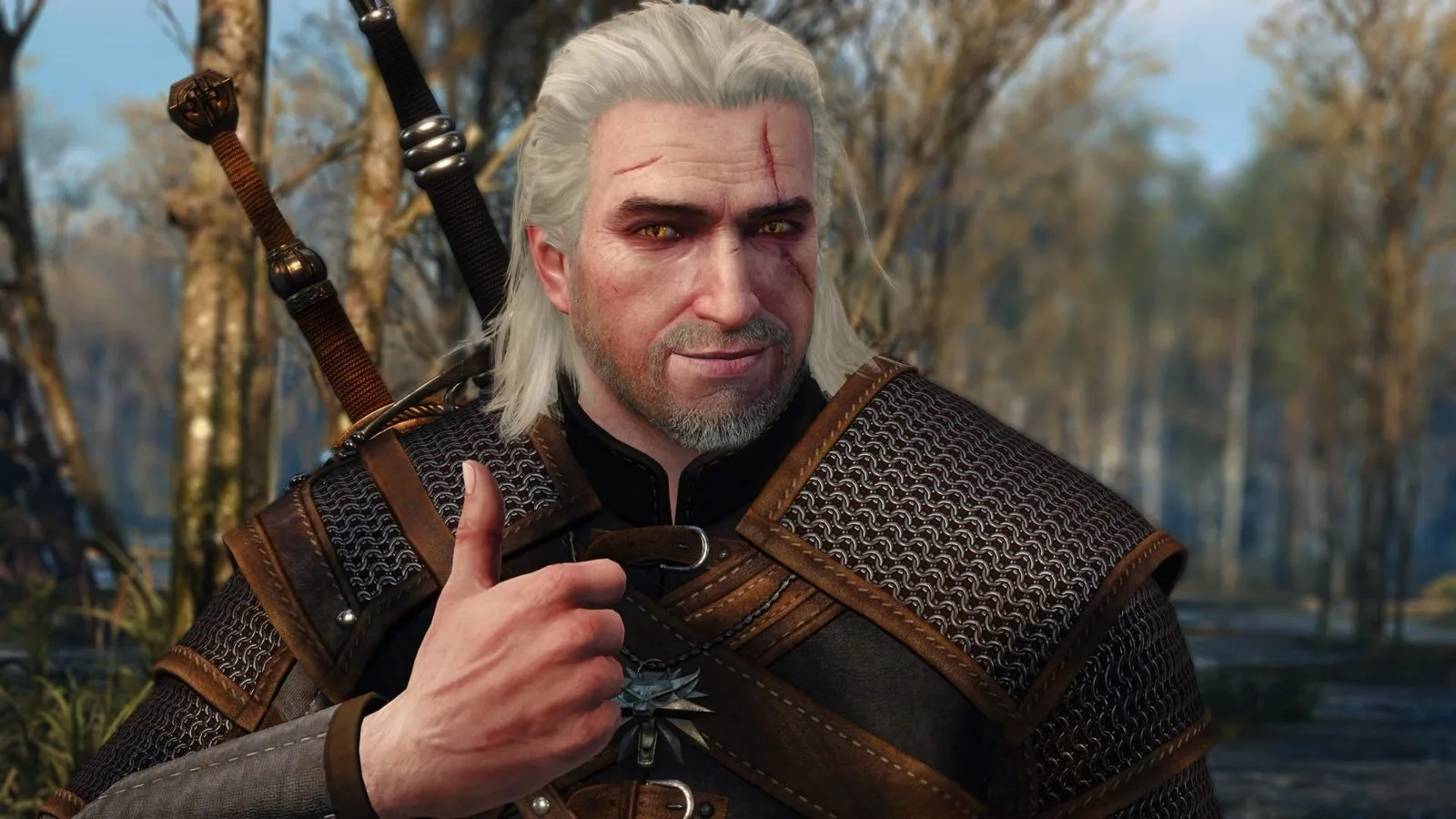 Geralt gives a thumbs up.