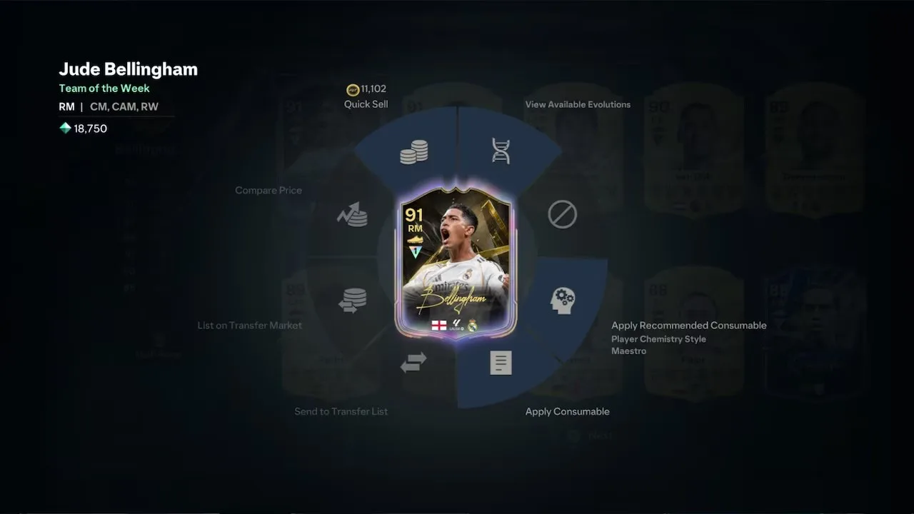 Holographic item in FC 27