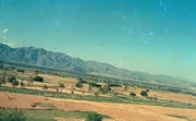 A scene of green farms. - Askeri Tarih & Harp Koleksiyonu