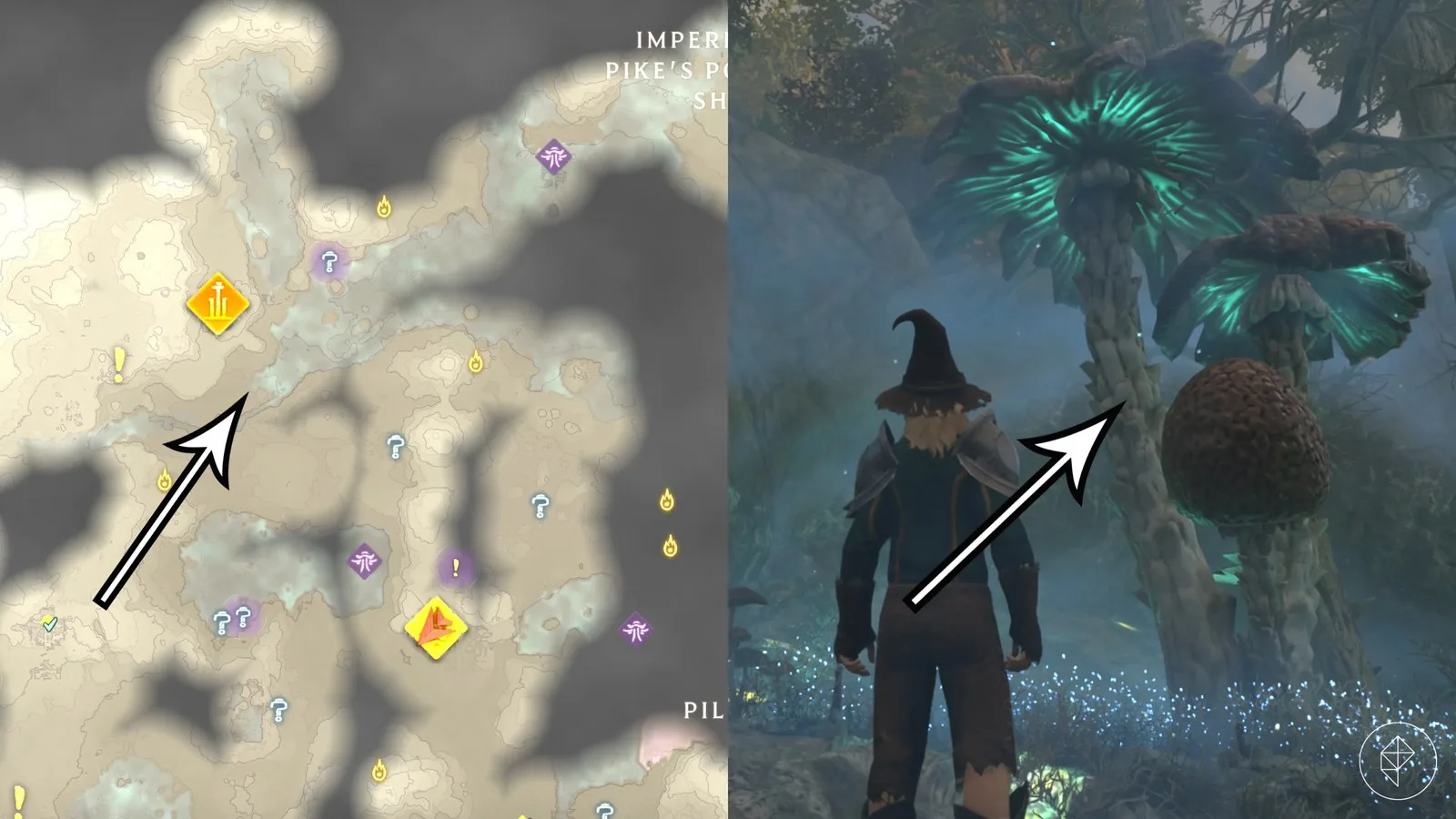 Where to find shroud mushrooms in Enshrouded
