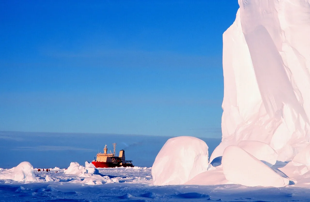 WhalesBayIceShelf