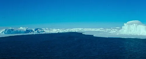 Bay of Whales broad