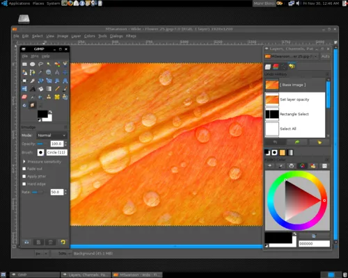 Gimp bir özgür yazılım ürünü olup; Windows, Mac OS X ve Linux sürümleri bulunur