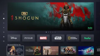 Disney+ Website