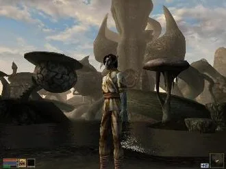 A third-person screenshot from the game, demonstrating Morrowind’s advanced graphics: pixel-shaded water; long render distances; and detailed textures and models.