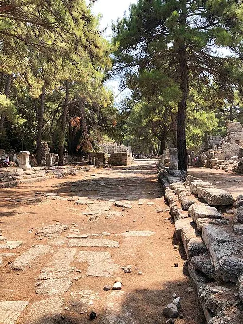 Ana yol
