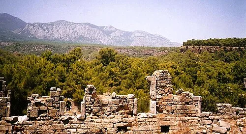 Faselis (görünüm)