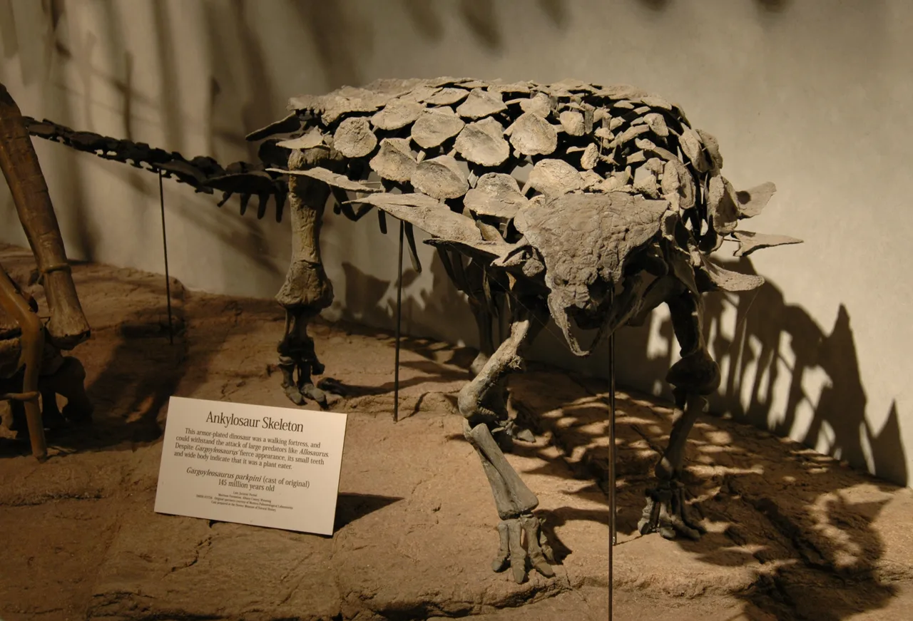 Gargoyleosaurus