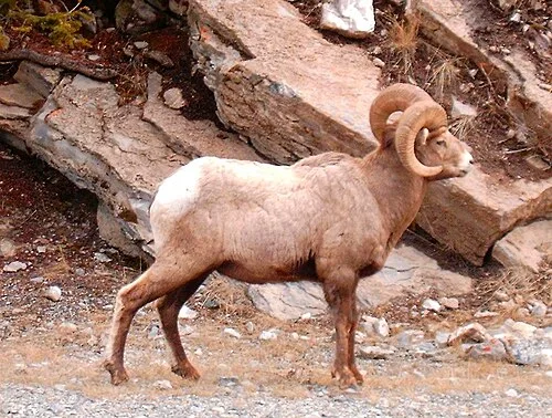 Big Horn Seep 4304c